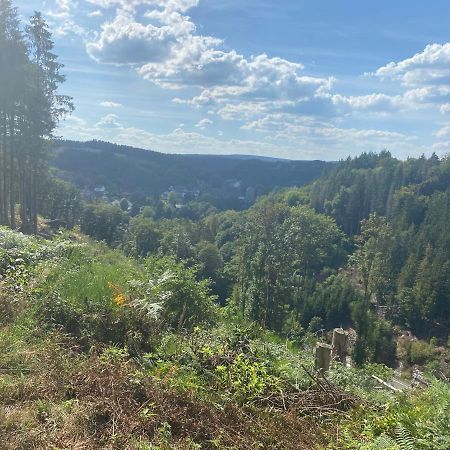 Landhausidylle Simmerath Kültér fotó