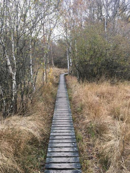 Landhausidylle Simmerath Kültér fotó