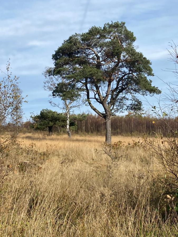 Landhausidylle Simmerath Kültér fotó